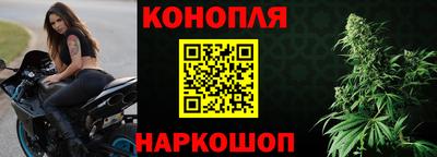 дживик Кингисепп