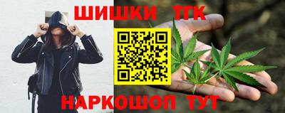 дживик Кингисепп